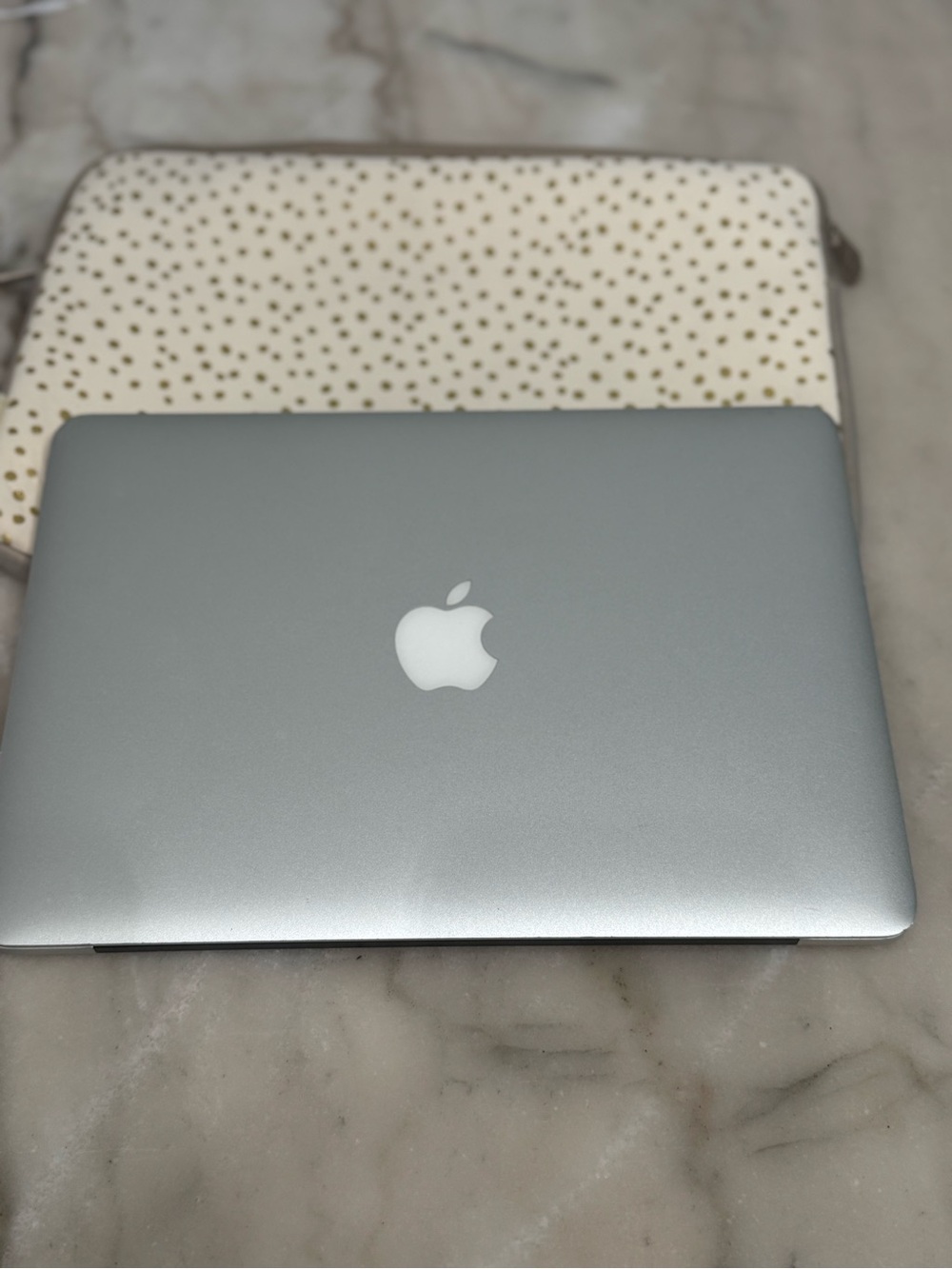 Apple Silver MacBook with Classic Apple Logo does not power on